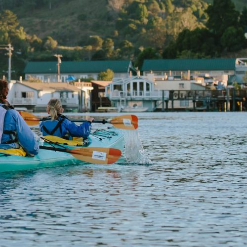 kayak trips on the waters of the San Francisco Bay kayak trips on the waters of the San Francisco Bay