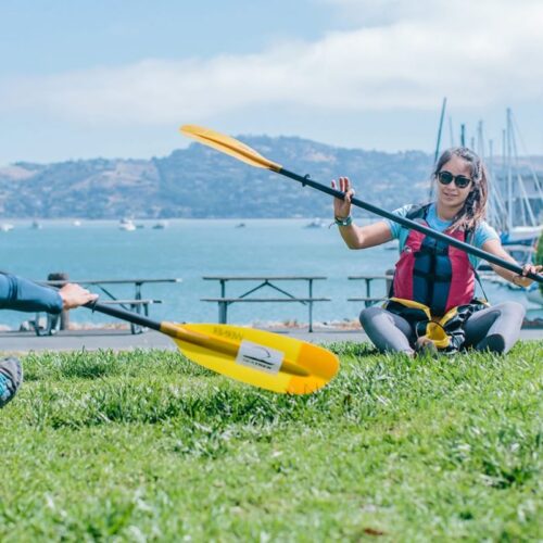 ai-skills-banner ai paddling skills