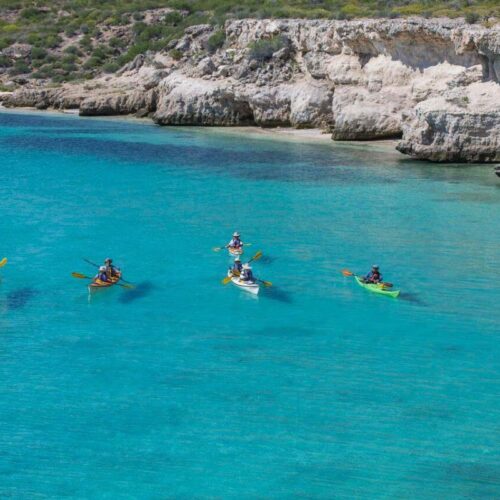kayaking through the tranquil waters of baja kayaking through the tranquil waters of baja