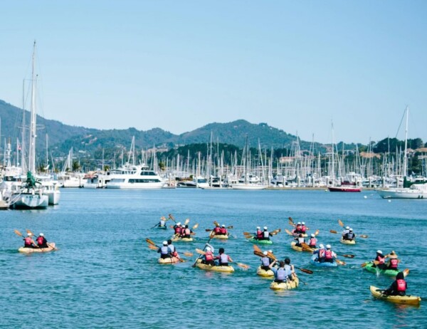 private sausalito kayaking tour with seatrek