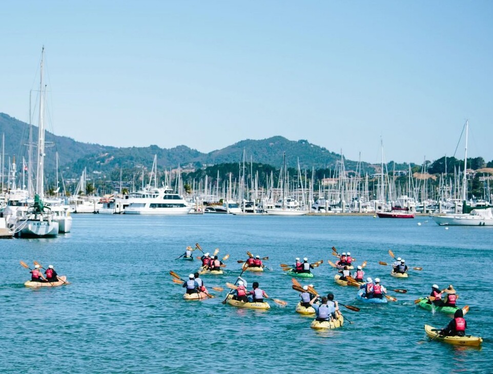 private sausalito kayaking tour with seatrek