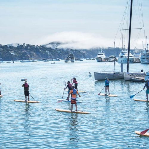 Sausalito SUP tour Sausalito SUP tour