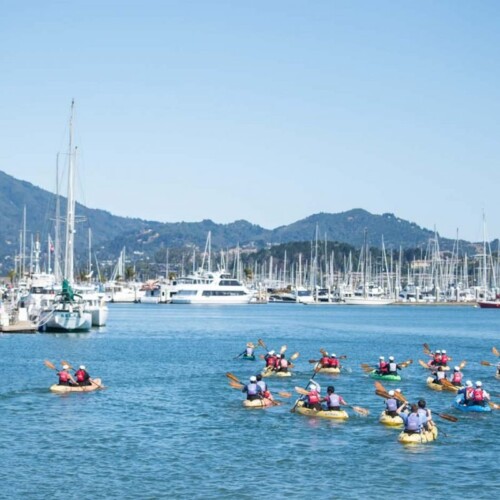 kayak group shot sea trek kayak group shot sea trek