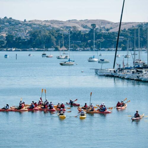 sea trek kayak meeting sea trek kayak meeting