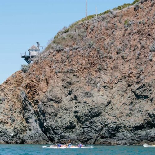 sea trek kayak to angel island sea trek kayak to angel island