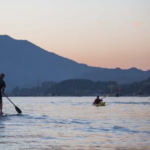 sea trek starlight kayak and sup tour sea trek starlight kayak and sup tour