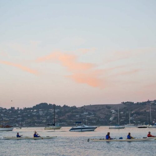 starlight paddle through richardson bay with sea trek starlight paddle through richardson bay with sea trek