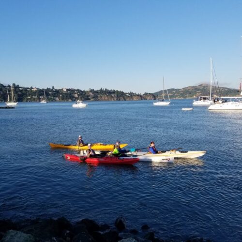 kayakers on richardson bay kayakers on richardson bay