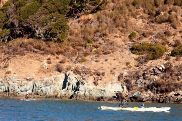 paddlers at the regatta paddlers at the regatta