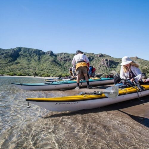book-now book your baja trip today