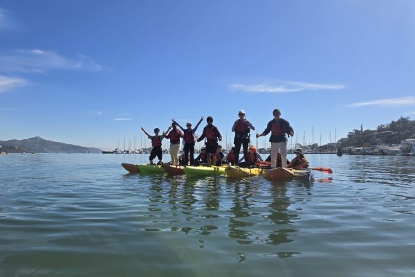 1000008063 1000008063