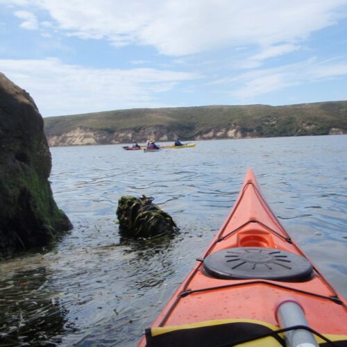 OLYMPUS DIGITAL CAMERA OLYMPUS DIGITAL CAMERA