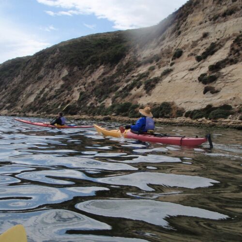 OLYMPUS DIGITAL CAMERA OLYMPUS DIGITAL CAMERA