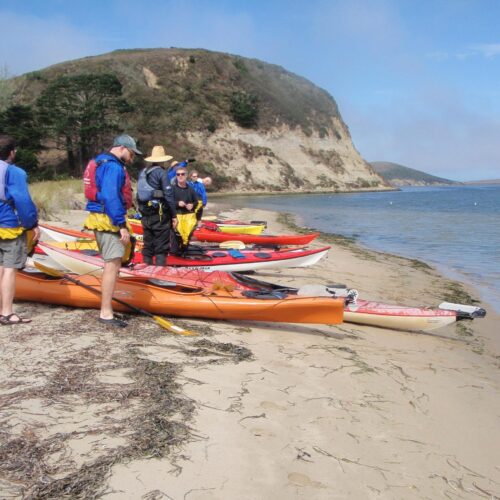 OLYMPUS DIGITAL CAMERA OLYMPUS DIGITAL CAMERA