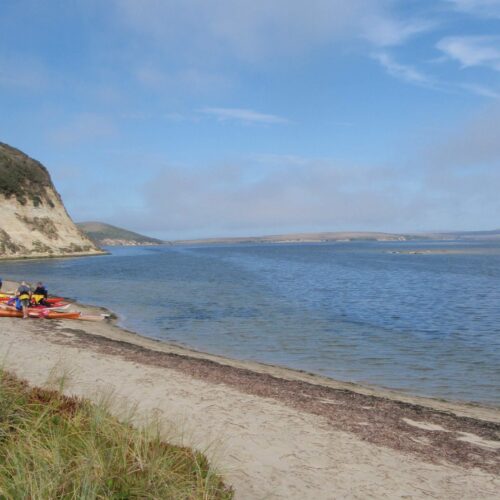 OLYMPUS DIGITAL CAMERA OLYMPUS DIGITAL CAMERA