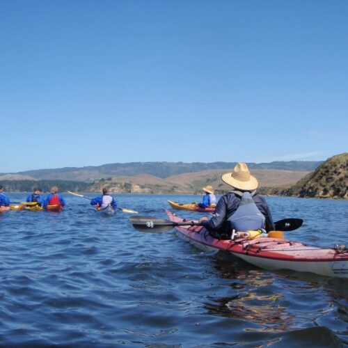 OLYMPUS DIGITAL CAMERA OLYMPUS DIGITAL CAMERA