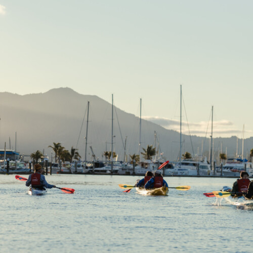 212-CB7A7524 212-CB7A7524