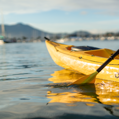 CB7A1459-Edit CB7A1459-Edit