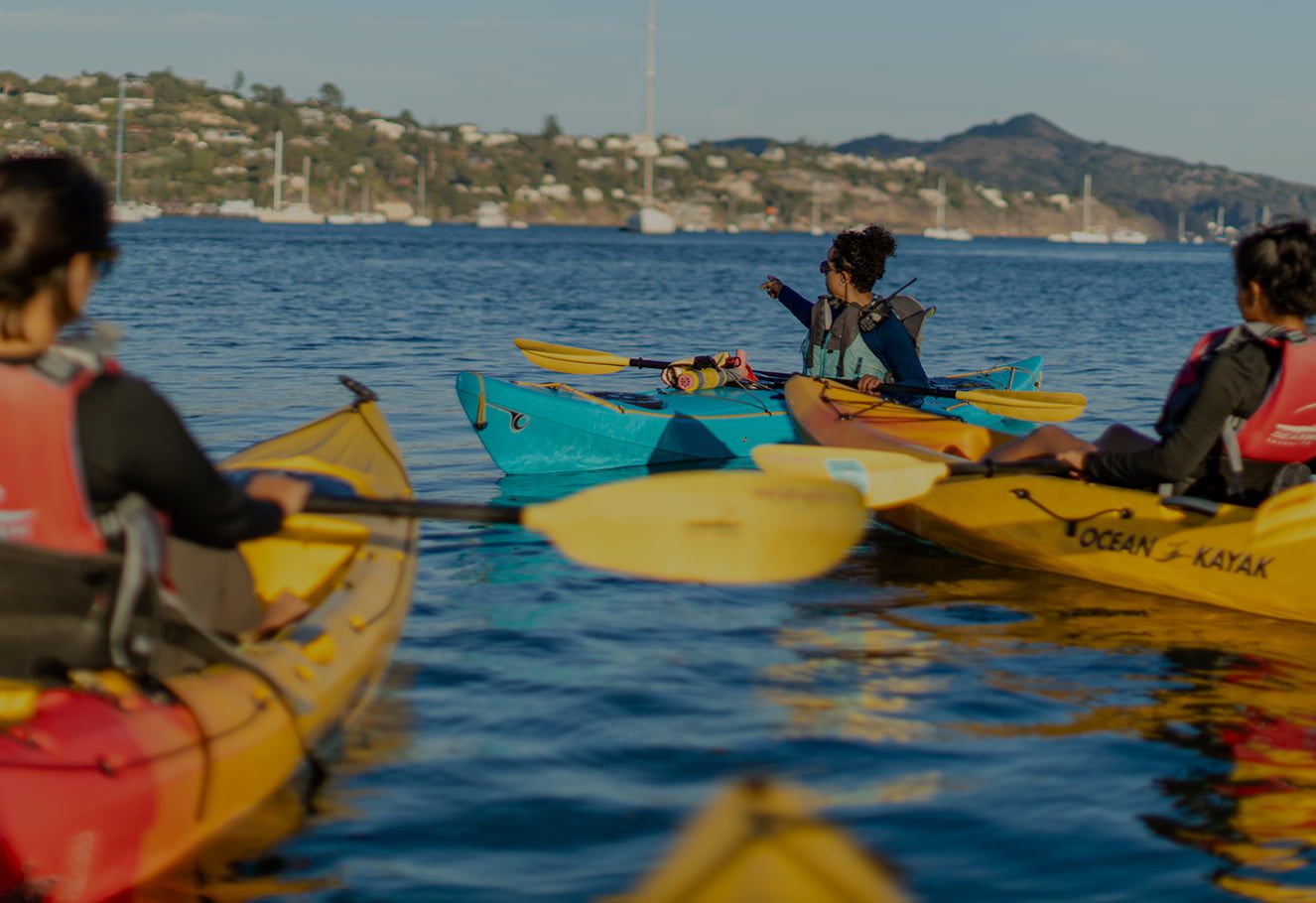 Guided kayak tour out in Sausalito California. Enjoying the tranquilities of nature just a short drive from San Francisco.