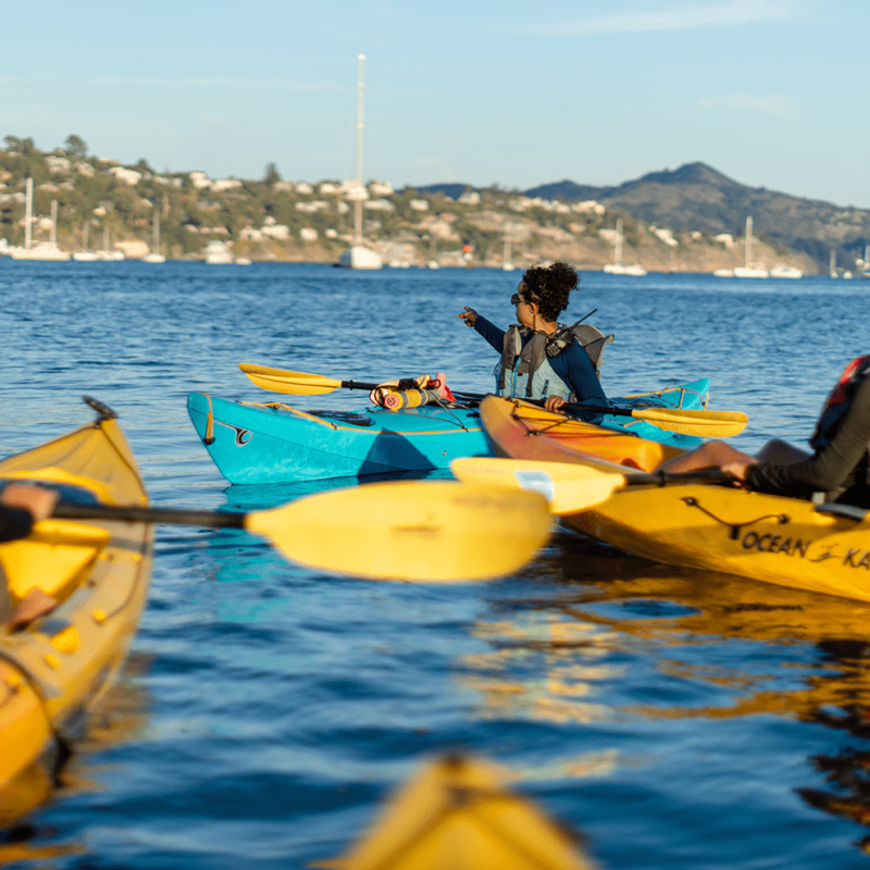 Kayaking in San Francisco - Sea Trek Kayak & SUP