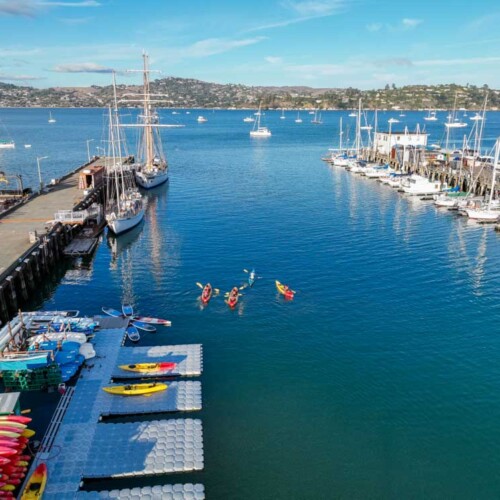 Group-kayaking-at-a-corporate-outing-at-Sea-Trek Group-kayaking-at-a-corporate-outing-at-Sea-Trek