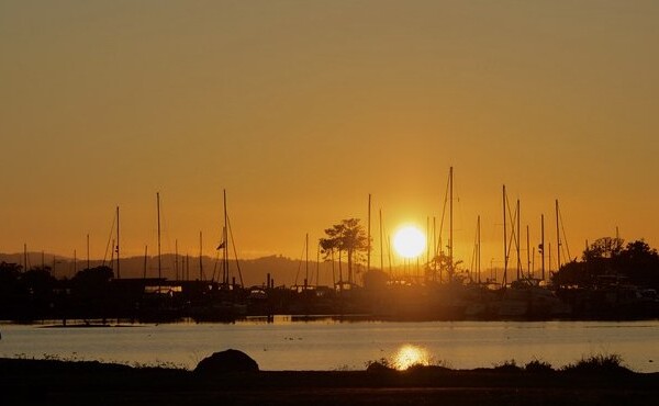 alameda sunset