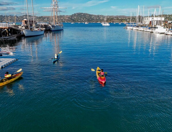Kayaking in San Francisco - Sea Trek Kayak & SUP