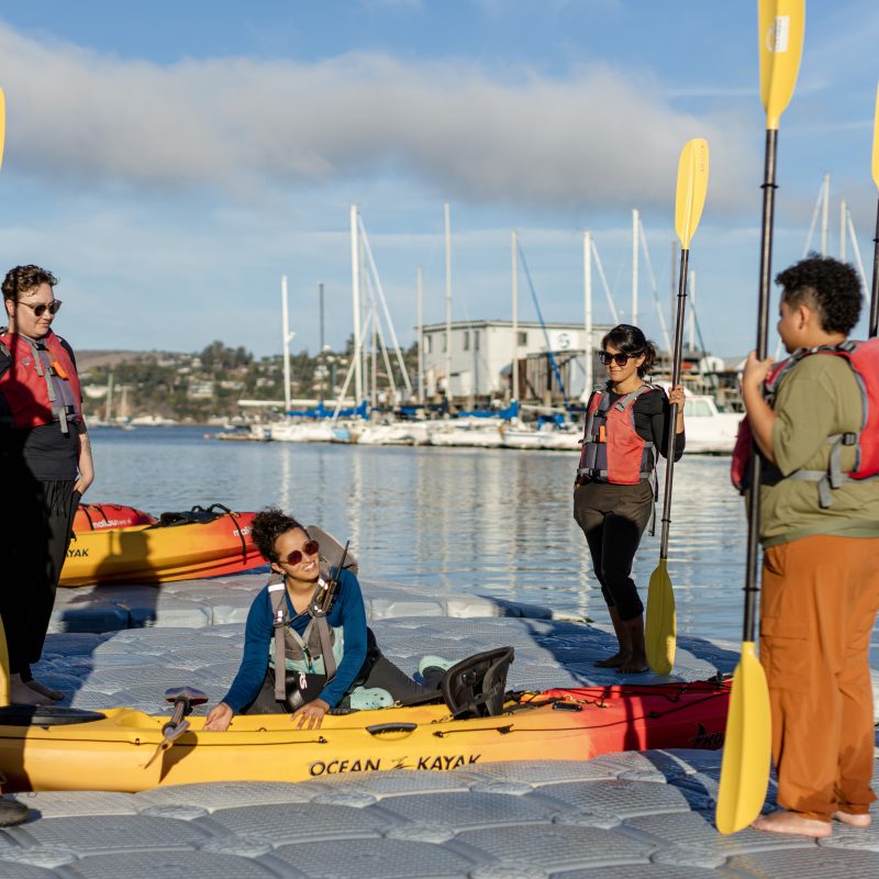 Kayaking in San Francisco - Sea Trek Kayak & SUP