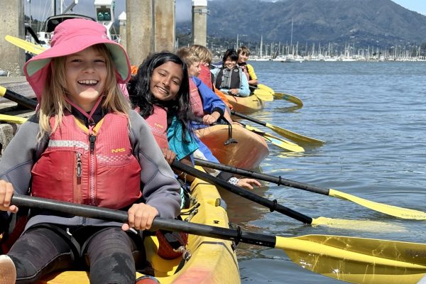 IMG_0852 (2) IMG_0852 (2)