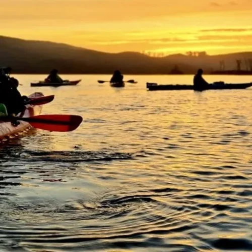 ed9533f1-b4e7-4d99-8e31-f0f39848e161 3 Bioluminescent tour with a group of kayakers