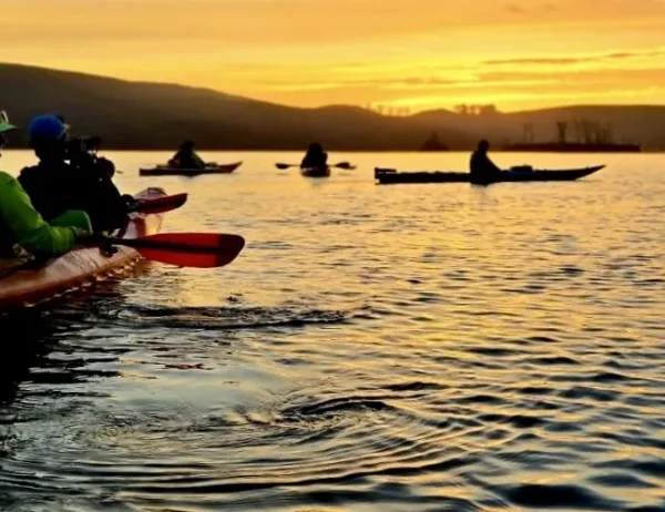 Bioluminescent tour with a group of kayakers