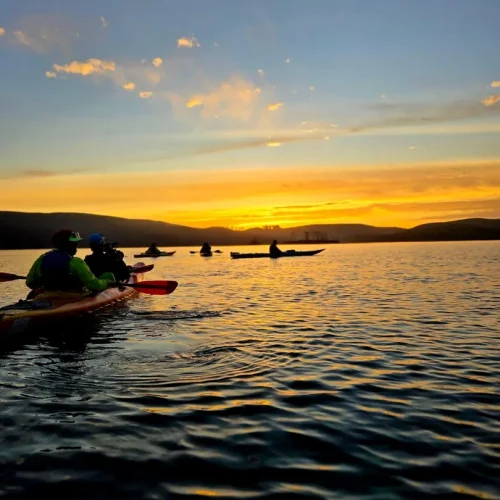 ed9533f1-b4e7-4d99-8e31-f0f39848e161 ed9533f1-b4e7-4d99-8e31-f0f39848e161